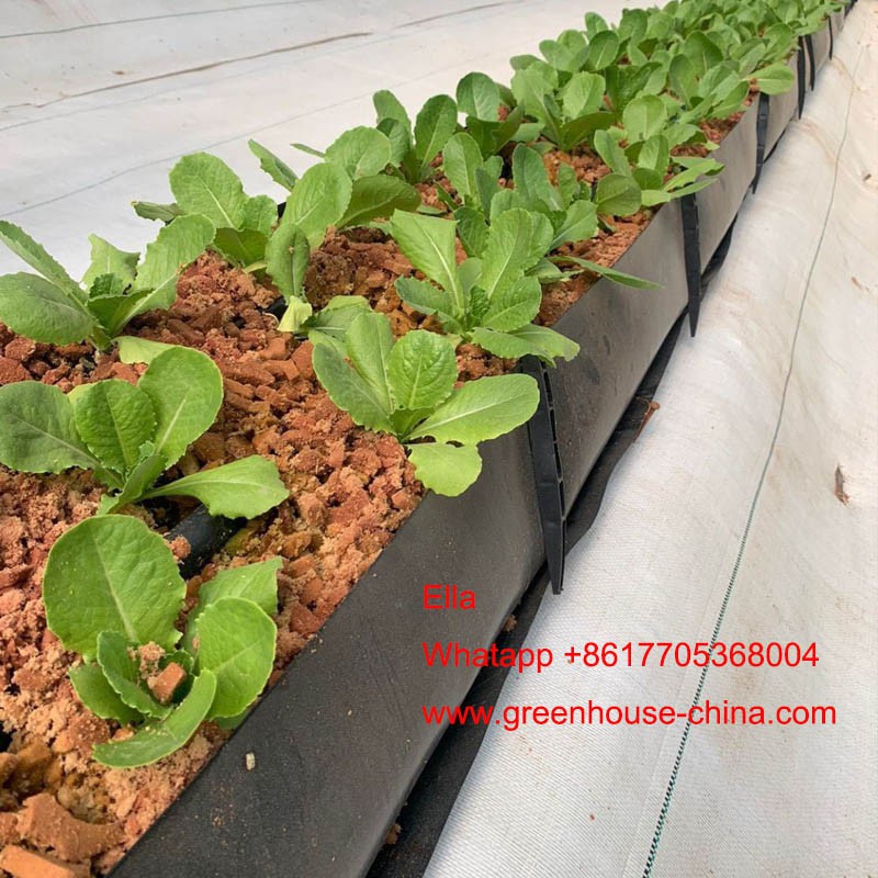 vegetable gutter vegetable gutter
