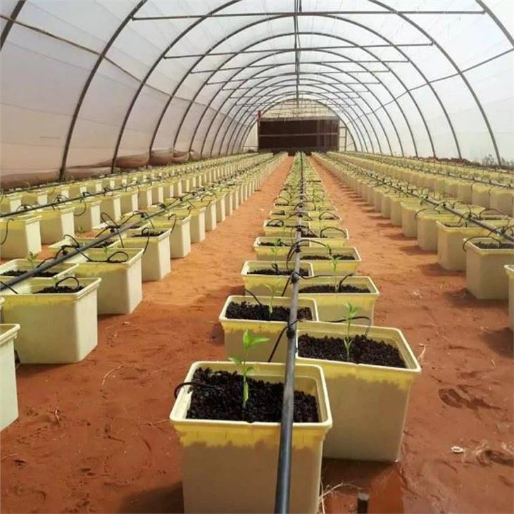 Bato Dutch Bucket For Greenhouse Substrate