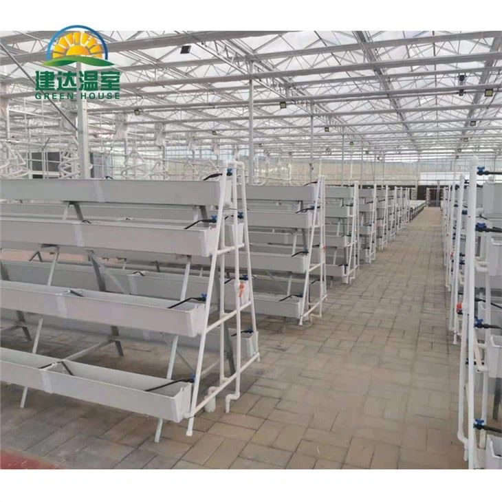 Hydroponic Vegetable Gutter System