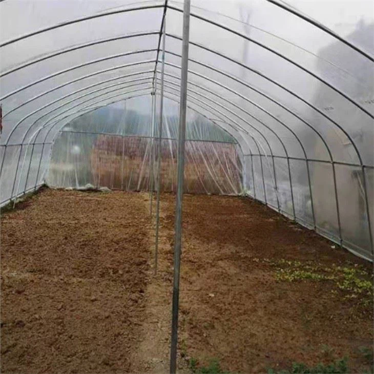 Singlespan Film Greenhouse