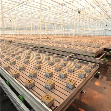 Kas Rockwool