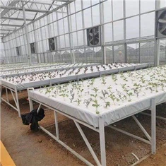 Horizontale Hydrocultuur