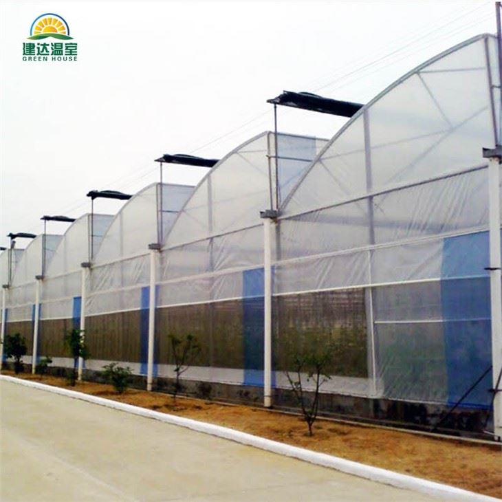 Tropical Multi Span Film Greenhouse