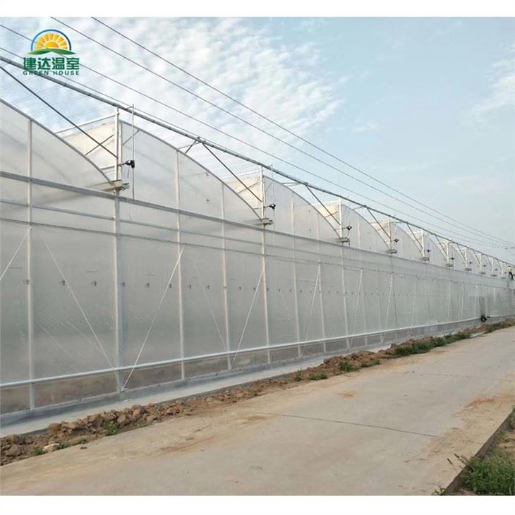 Tropical Multi Span Film Greenhouse