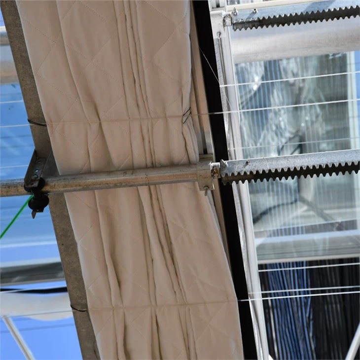 Venlo Agriculture Glass Greenhouse