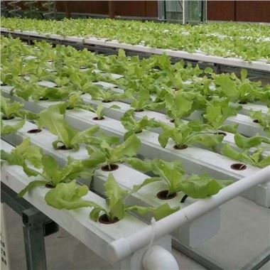 hydrocultuur systeem
