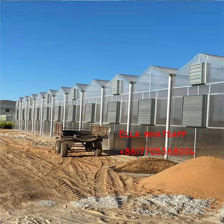 Polycarbonaat PC Groene Huizen