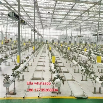 Tomatenkas PVC Plantgoot voor het hydroponische systeem